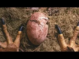 Baby Eagle Is Abandoned By Mother Soon After Birth , But This Boy Taught Him To Fly